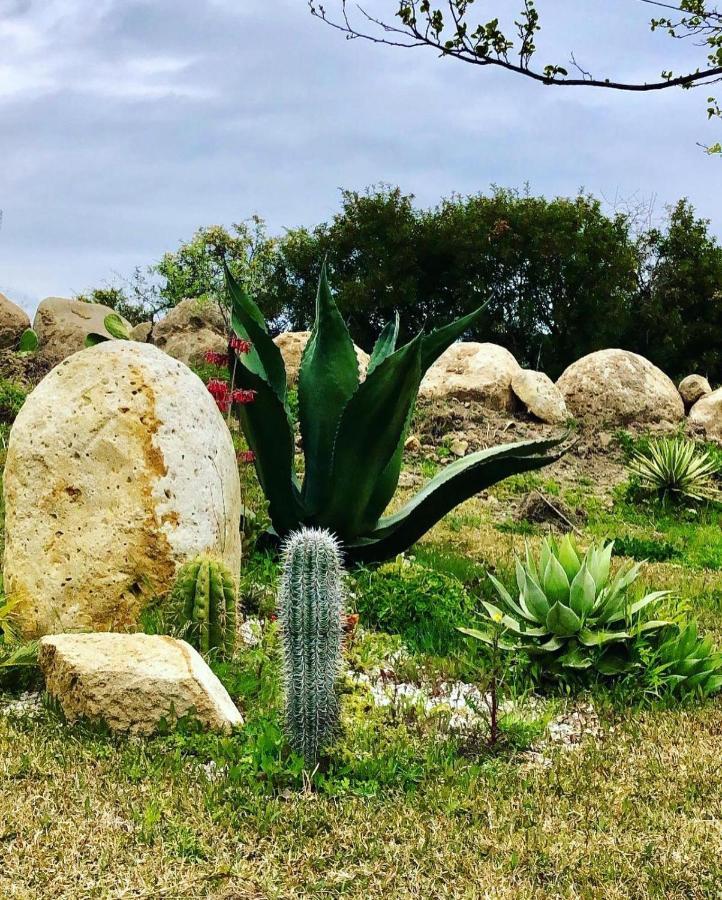 L'Incanto Di Nausicaa Ascea Exteriér fotografie